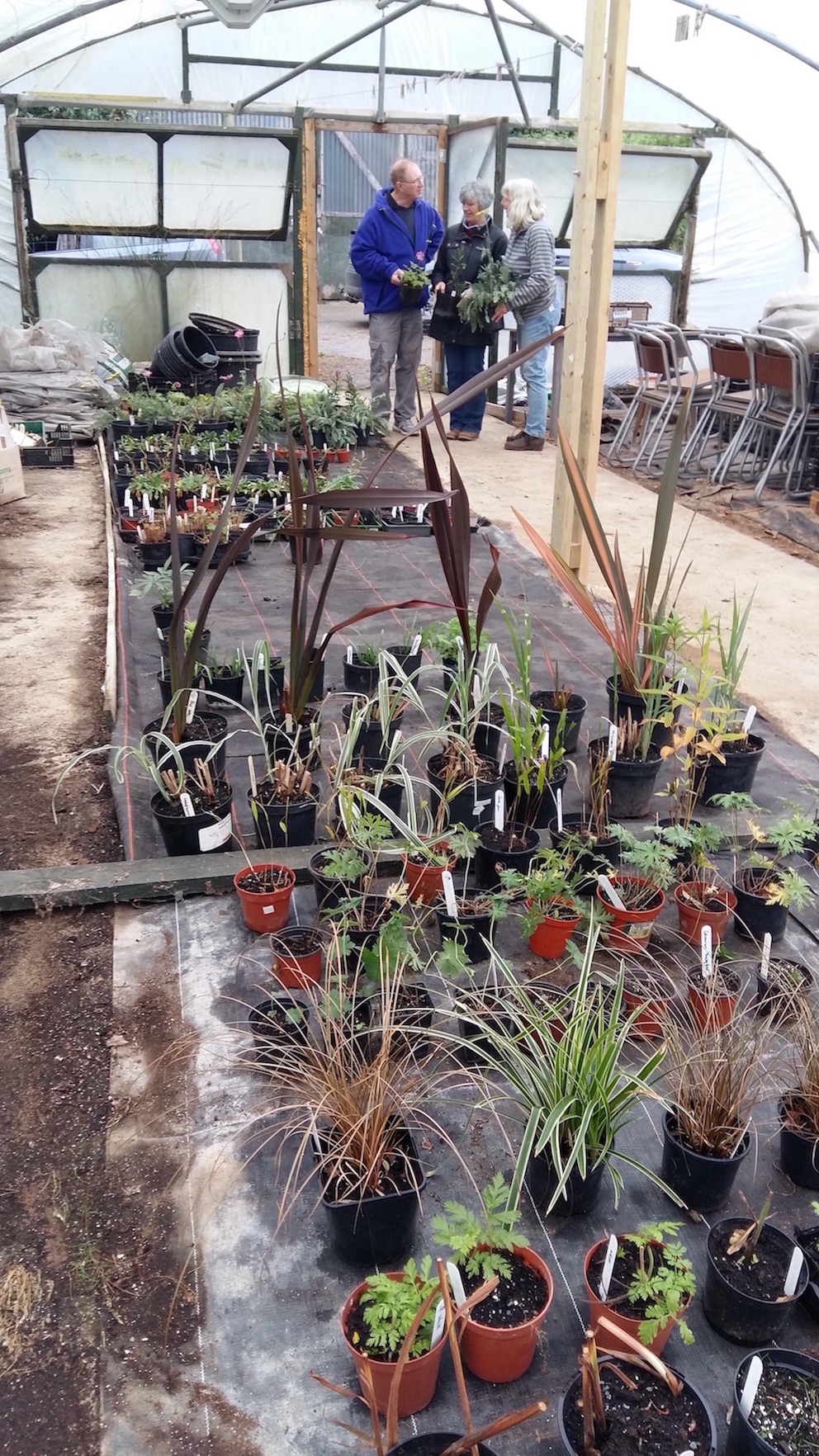 2016-10-13 12.36.47 copy