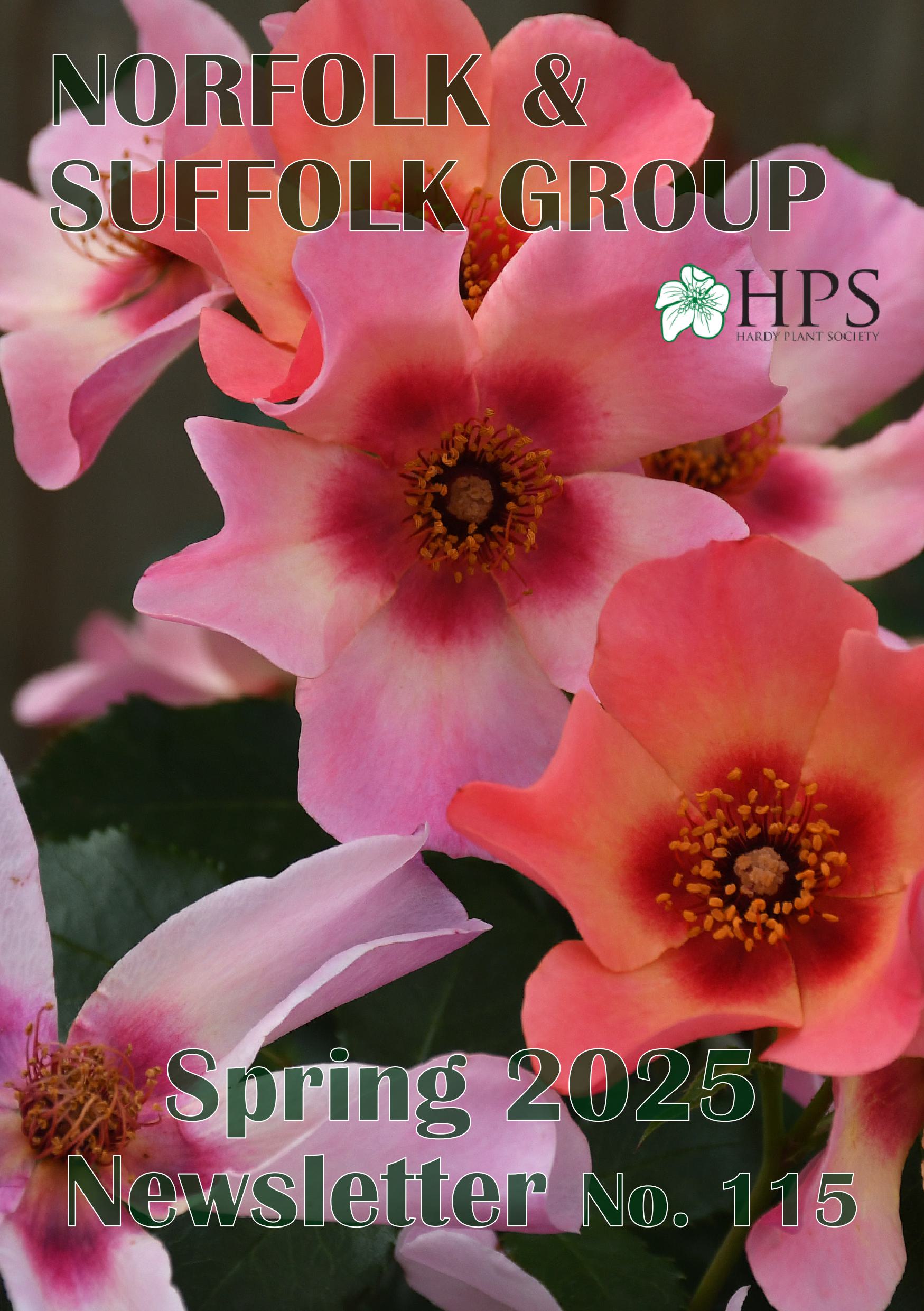 NL_Spring_2025_Cover.jpg