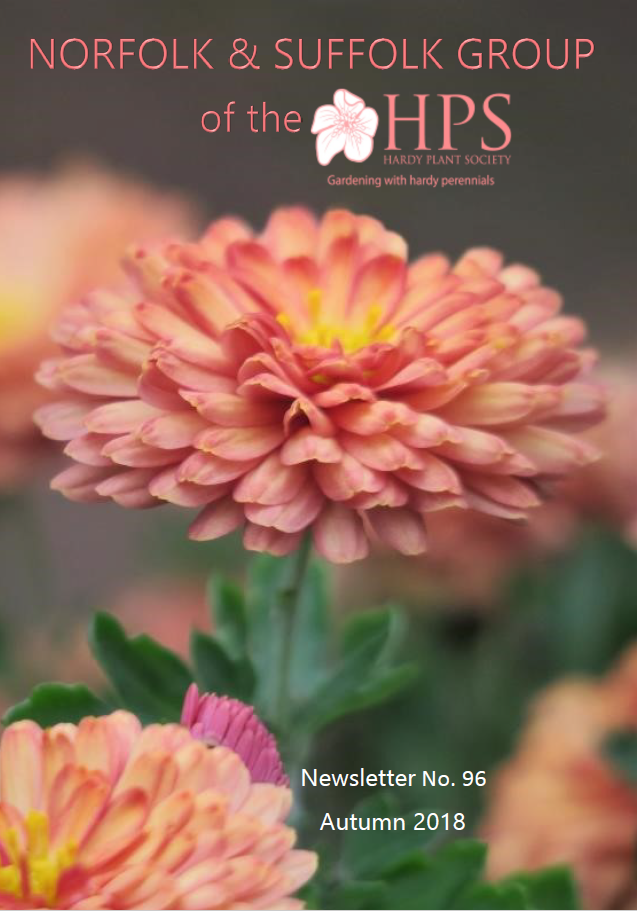 Cover autumn 2018