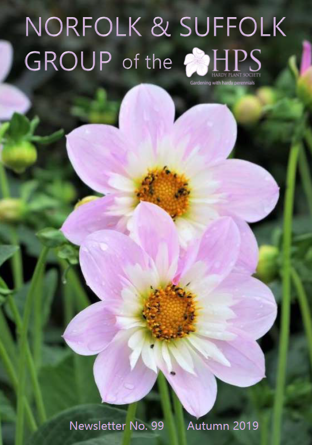 Cover autumn 2019
