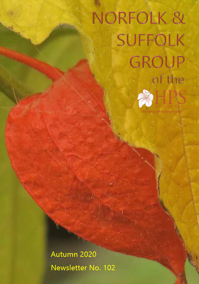 Cover autumn 2020