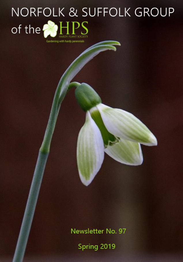 Cover spring 2019