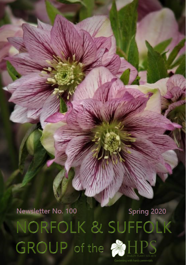 Cover spring 2020