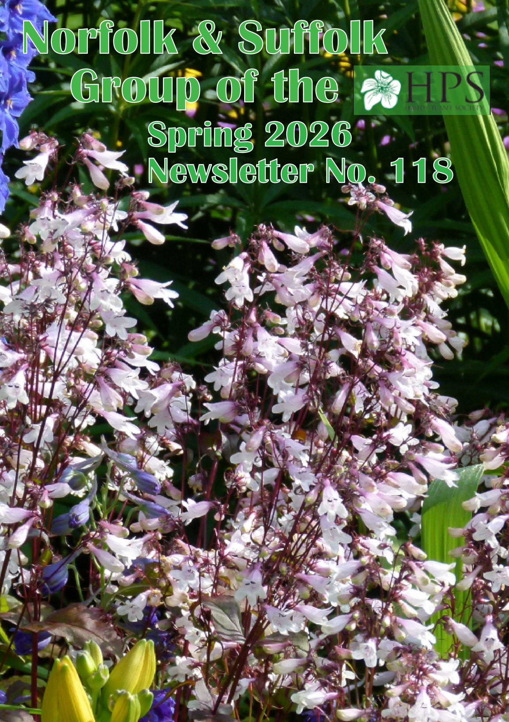 NL Spring 2026 Cover