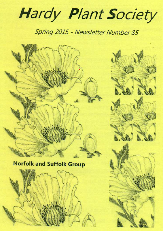 NL cover spring 2015