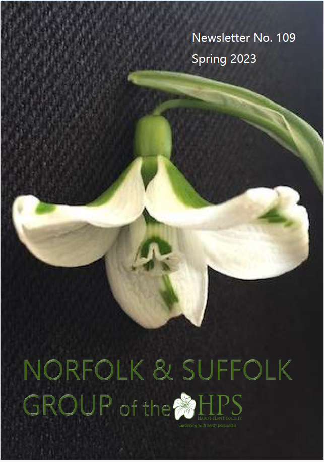 NL spring 2023 Cover