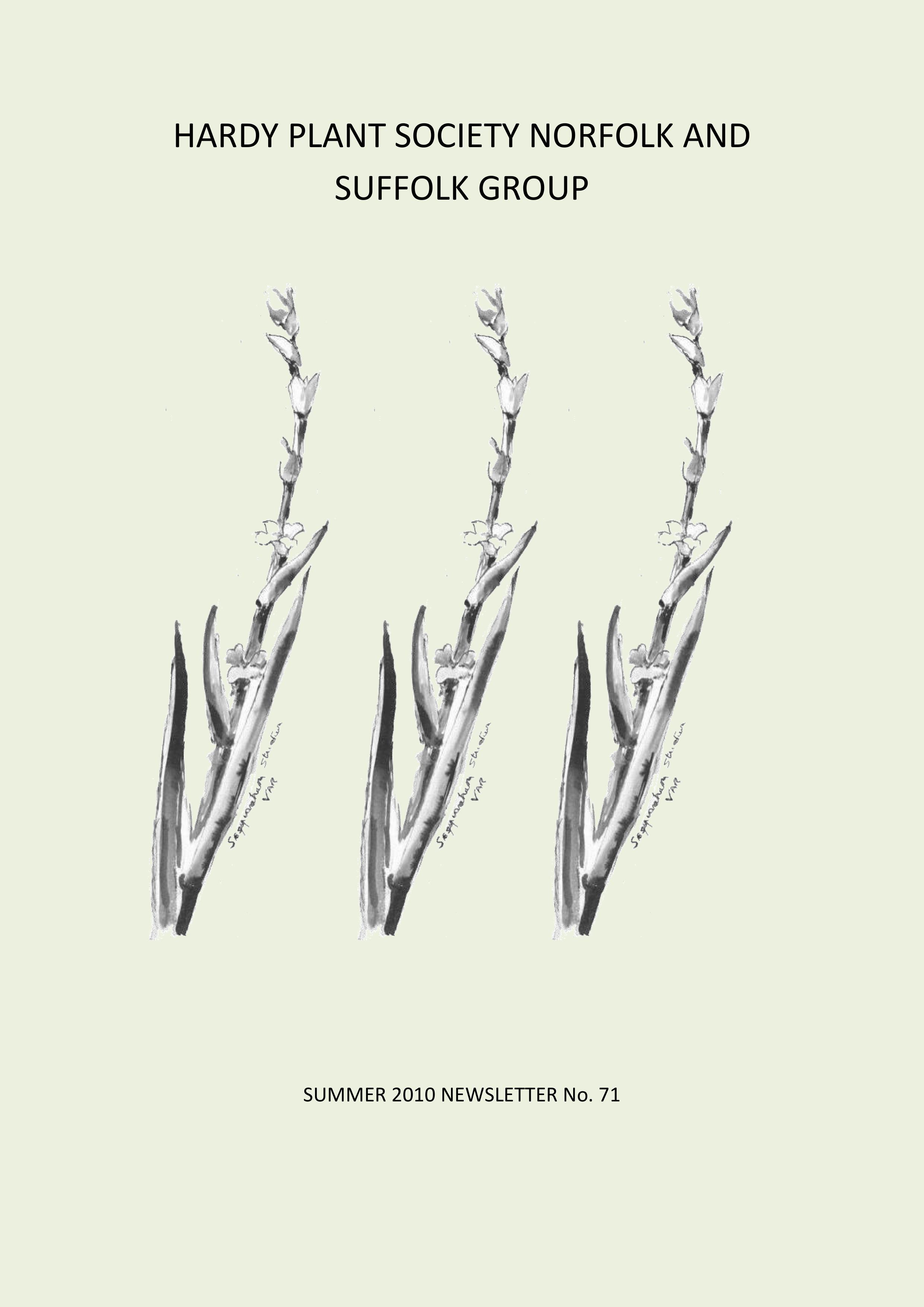 NL summer 2010 Cover